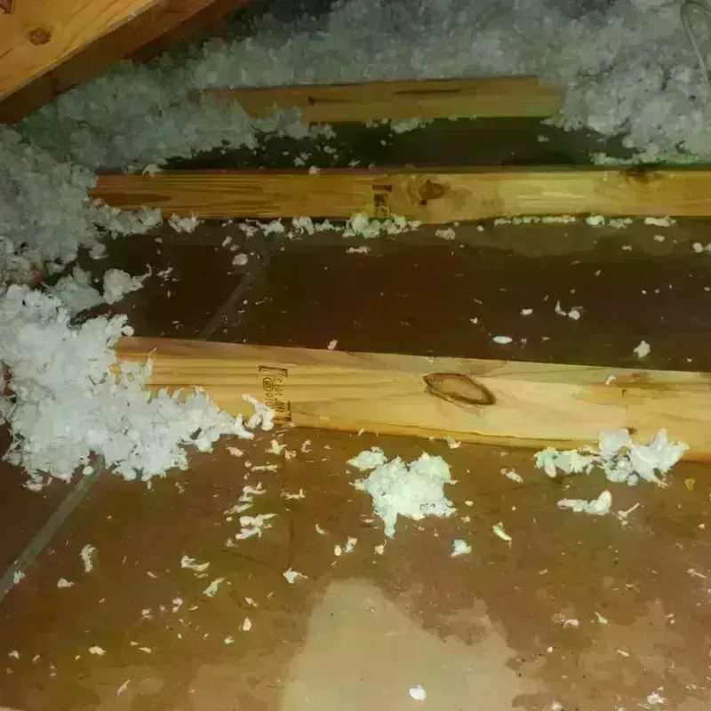 Attic Water Damage in Burton, MI