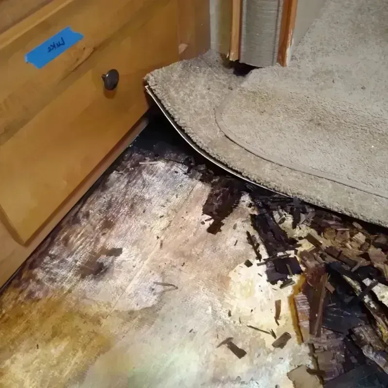 Wood Floor Water Damage in Burton, MI